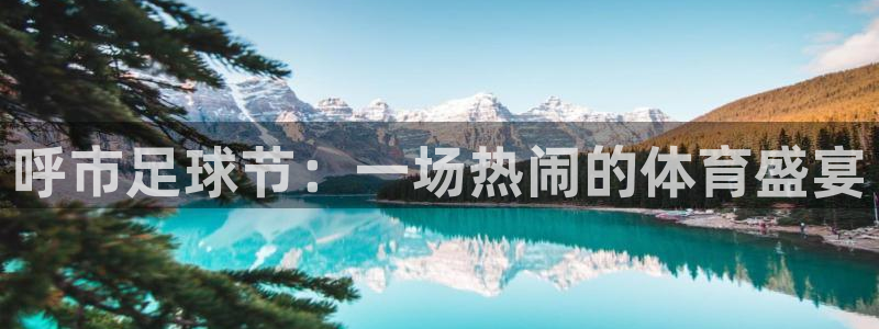 呼市足球节：一场热闹的体育盛宴