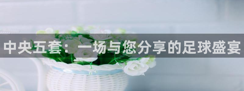 中央五套：一场与您分享的足球盛宴