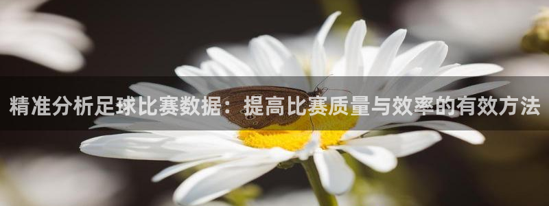 精准分析足球比赛数据：提高比赛质量与效率的有效方法