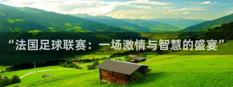  “法国足球联赛：一场激情与智慧的盛宴”