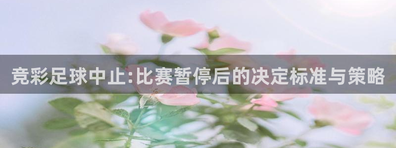  竞彩足球中止:比赛暂停后的决定标准与策略