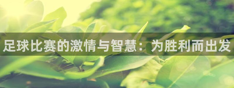 足球比赛的激情与智慧：为胜利而出发