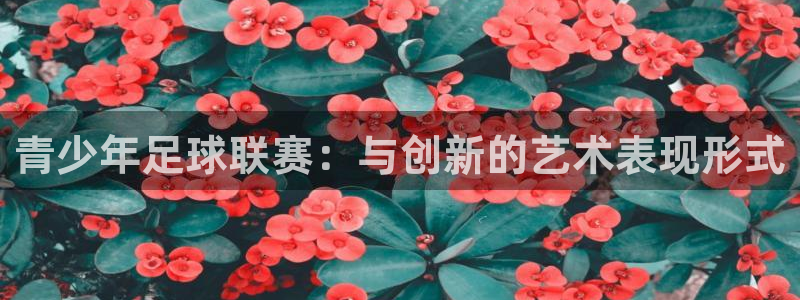  青少年足球联赛：与创新的艺术表现形式