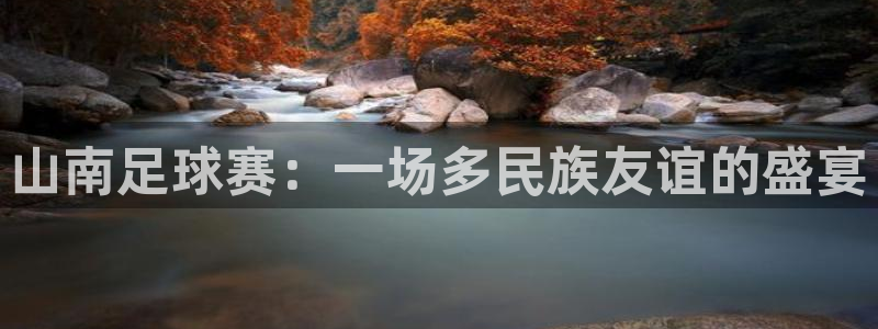  山南足球赛：一场多民族友谊的盛宴