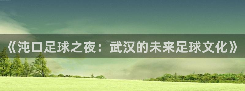  《沌口足球之夜：武汉的未来足球文化》