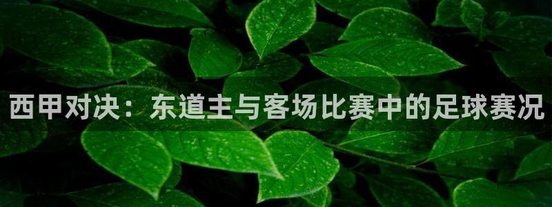 西甲对决：东道主与客场比赛中的足球赛况