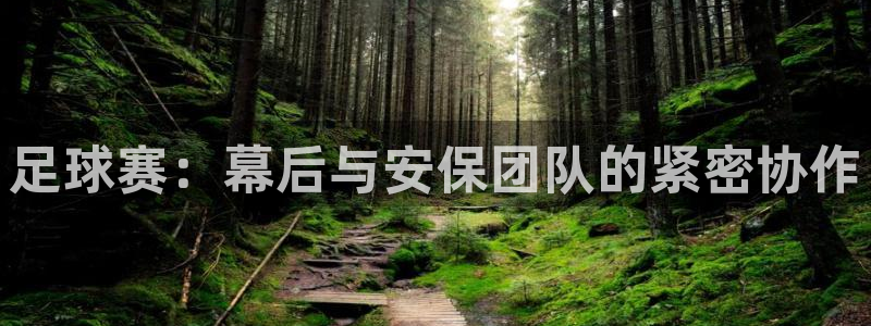  足球赛：幕后与安保团队的紧密协作