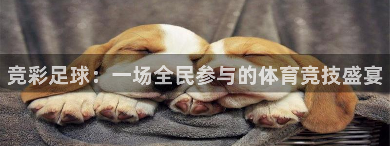 竞彩足球：一场全民参与的体育竞技盛宴