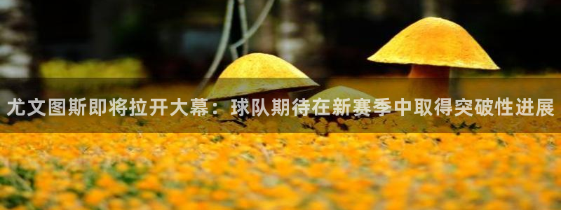  尤文图斯即将拉开大幕：球队期待在新赛季中取得突破性进展