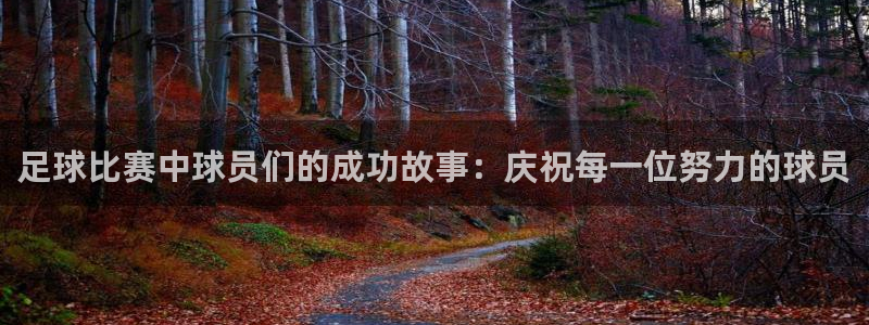  足球比赛中球员们的成功故事：庆祝每一位努力的球员