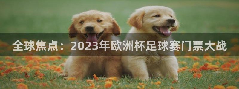 全球焦点：2023年欧洲杯足球赛门票大战