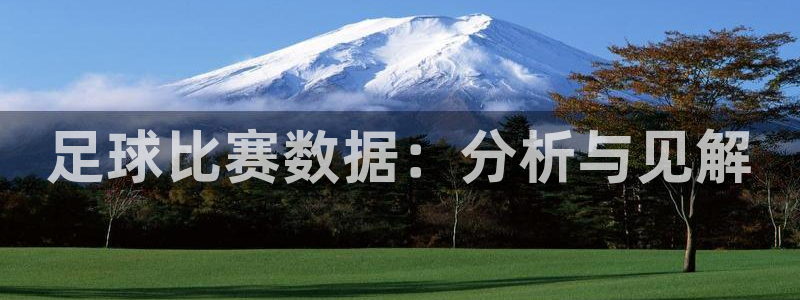  足球比赛数据：分析与见解