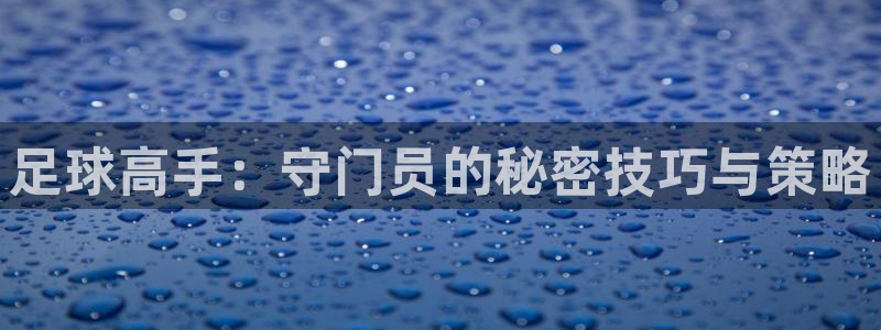 足球高手：守门员的秘密技巧与策略