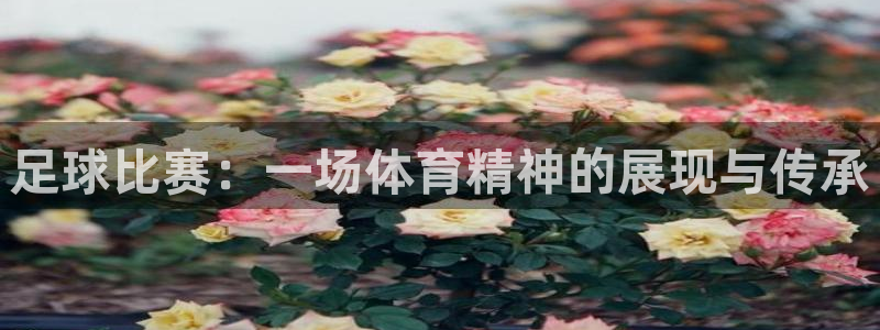  足球比赛：一场体育精神的展现与传承