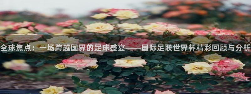  全球焦点：一场跨越国界的足球盛宴——国际足联世界杯精彩回顾与