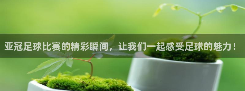  亚冠足球比赛的精彩瞬间，让我们一起感受足球的魅力！