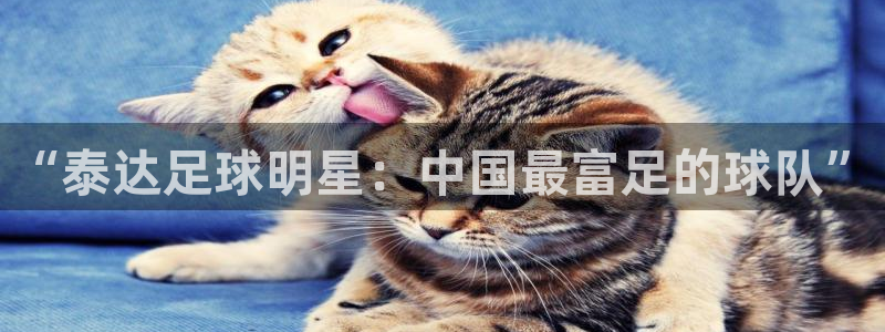 “泰达足球明星：中国最富足的球队”