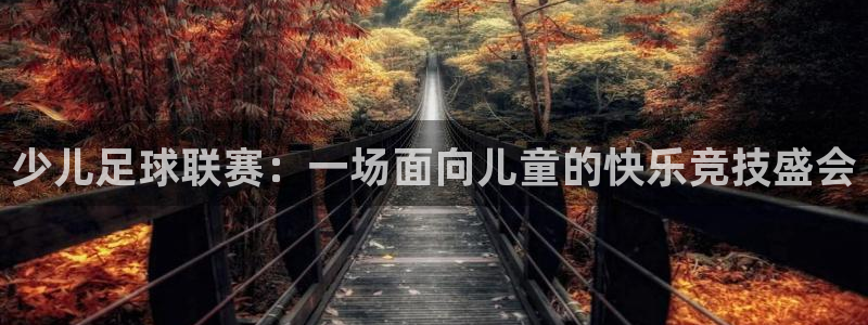  少儿足球联赛：一场面向儿童的快乐竞技盛会