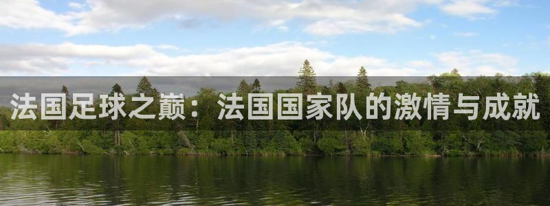 法国足球之巅：法国国家队的激情与成就