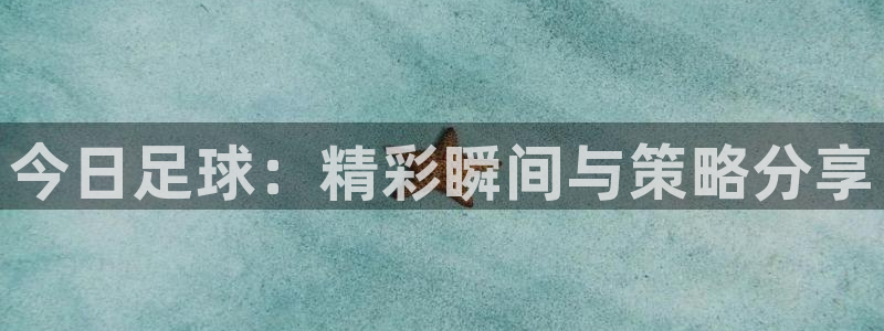 今日足球：精彩瞬间与策略分享