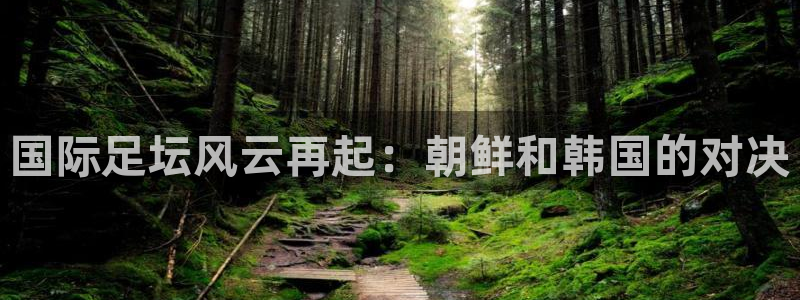  国际足坛风云再起：朝鲜和韩国的对决