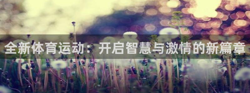 xc体育