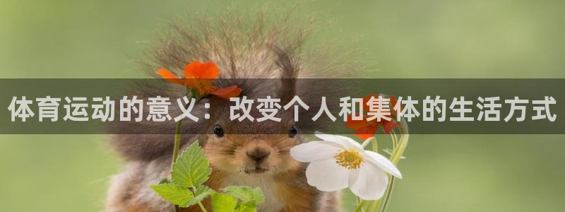 xc体育app官方网站