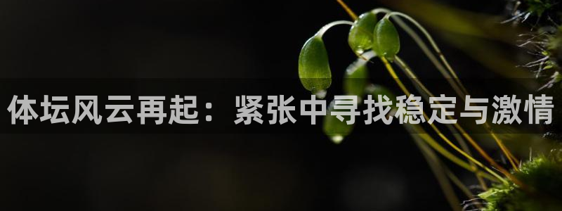 xc体育