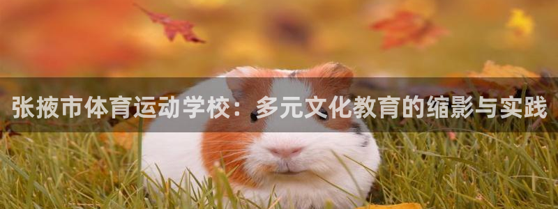 xc体育app官方网站
