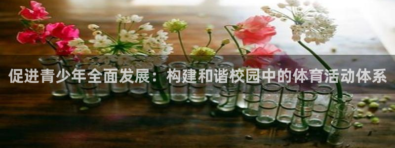 xc体育app官方网站