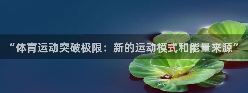xc体育app官方网站