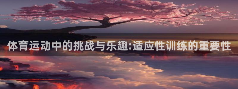 xc体育