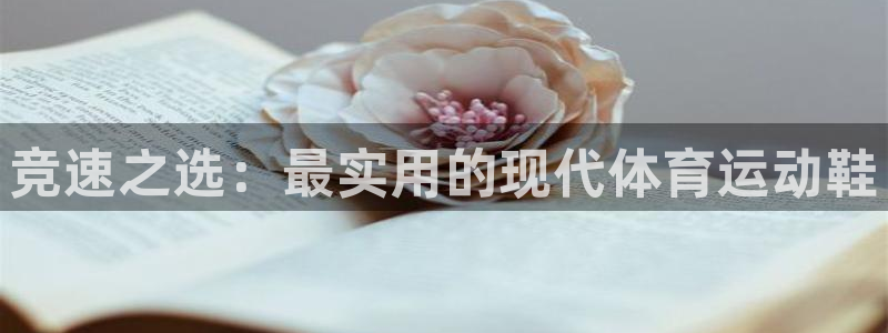 xc体育