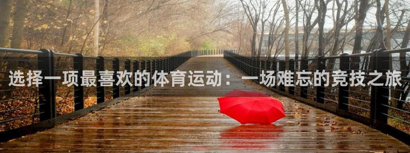 xc体育