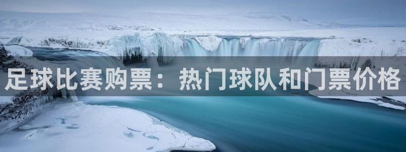 足球比赛购票：热门球队和门票价格