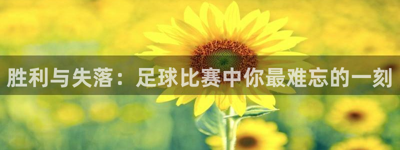 胜利与失落：足球比赛中你最难忘的一刻