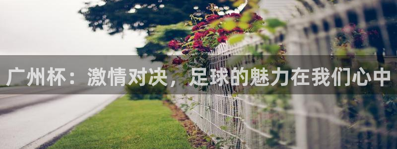 广州杯：激情对决，足球的魅力在我们心