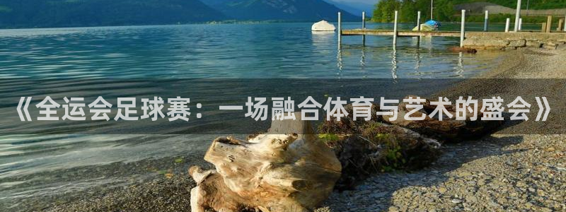 《全运会足球赛：一场融合体育与艺术的