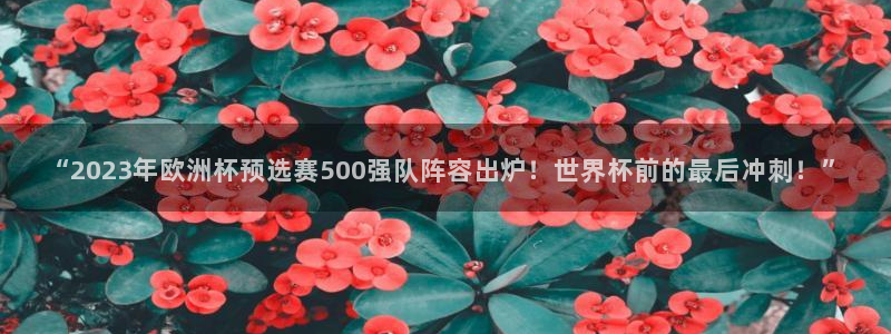 “2023年欧洲杯预选赛500强队阵