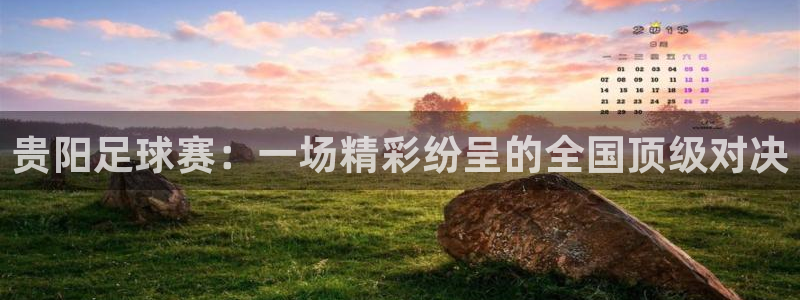 贵阳足球赛：一场精彩纷呈的全国顶级对
