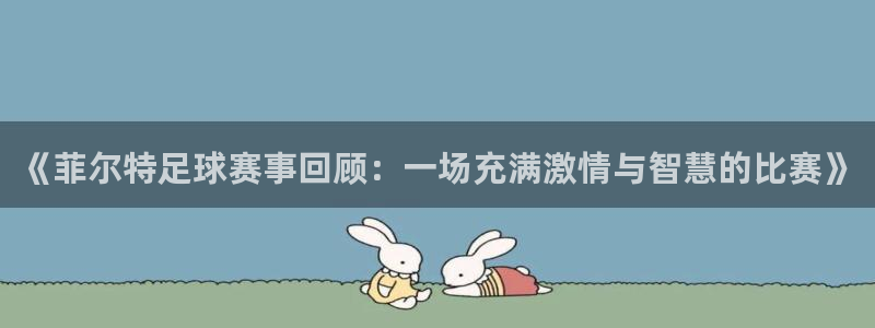 《菲尔特足球赛事回顾：一场充满激情与