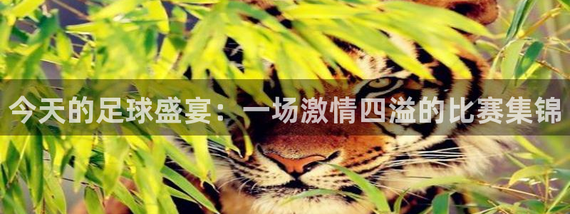 今天的足球盛宴：一场激情四溢的比赛集