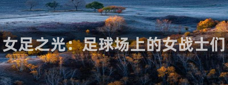 女足之光：足球场上的女战士们